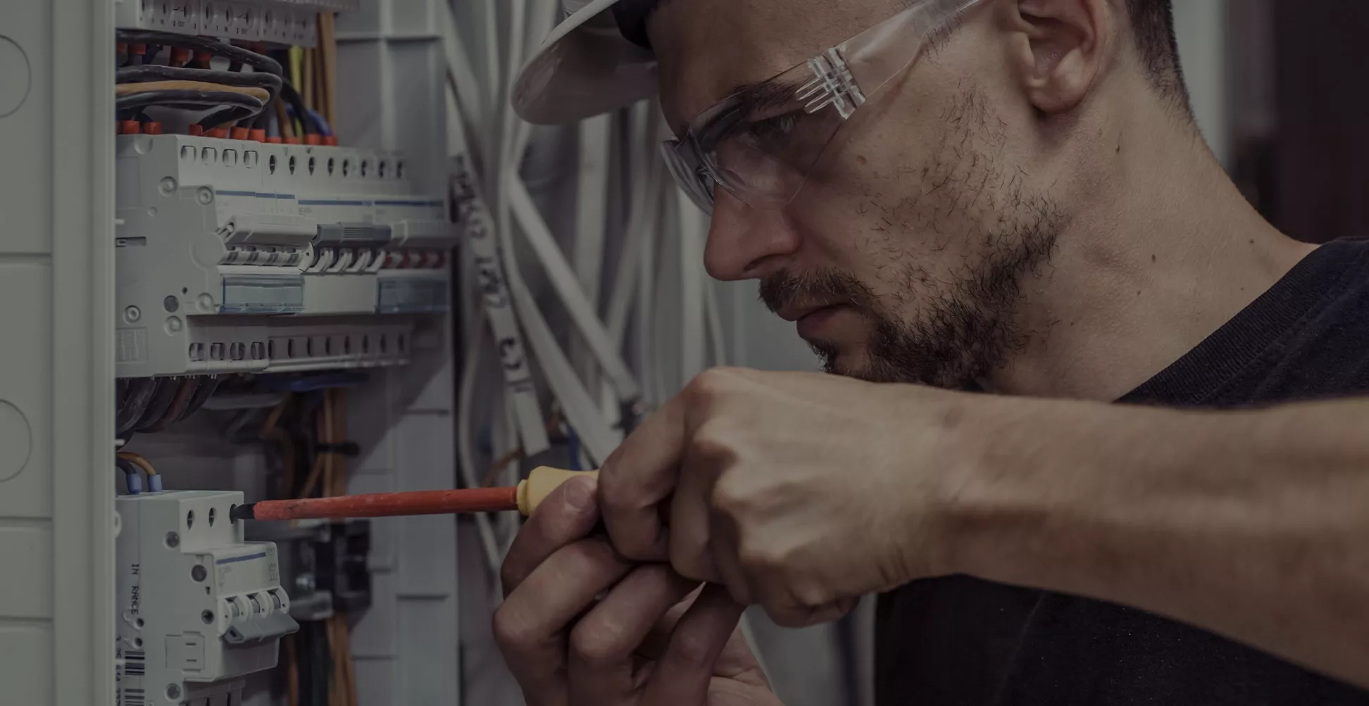 Mimosa électricité
